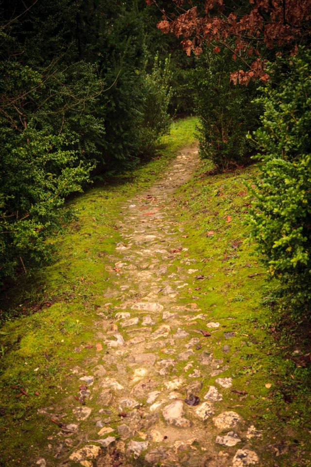 A path